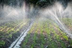 Micro-irrigation System