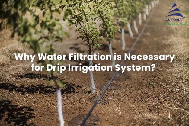 Why Water Filtration is Necessary for Drip Irrigation System?